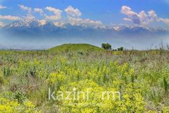Боралдайские и Иссыкский курганы вошли в список сакральных объектов Казахстана